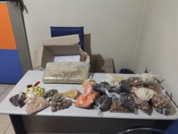 Uyuşturucu Operasyonu